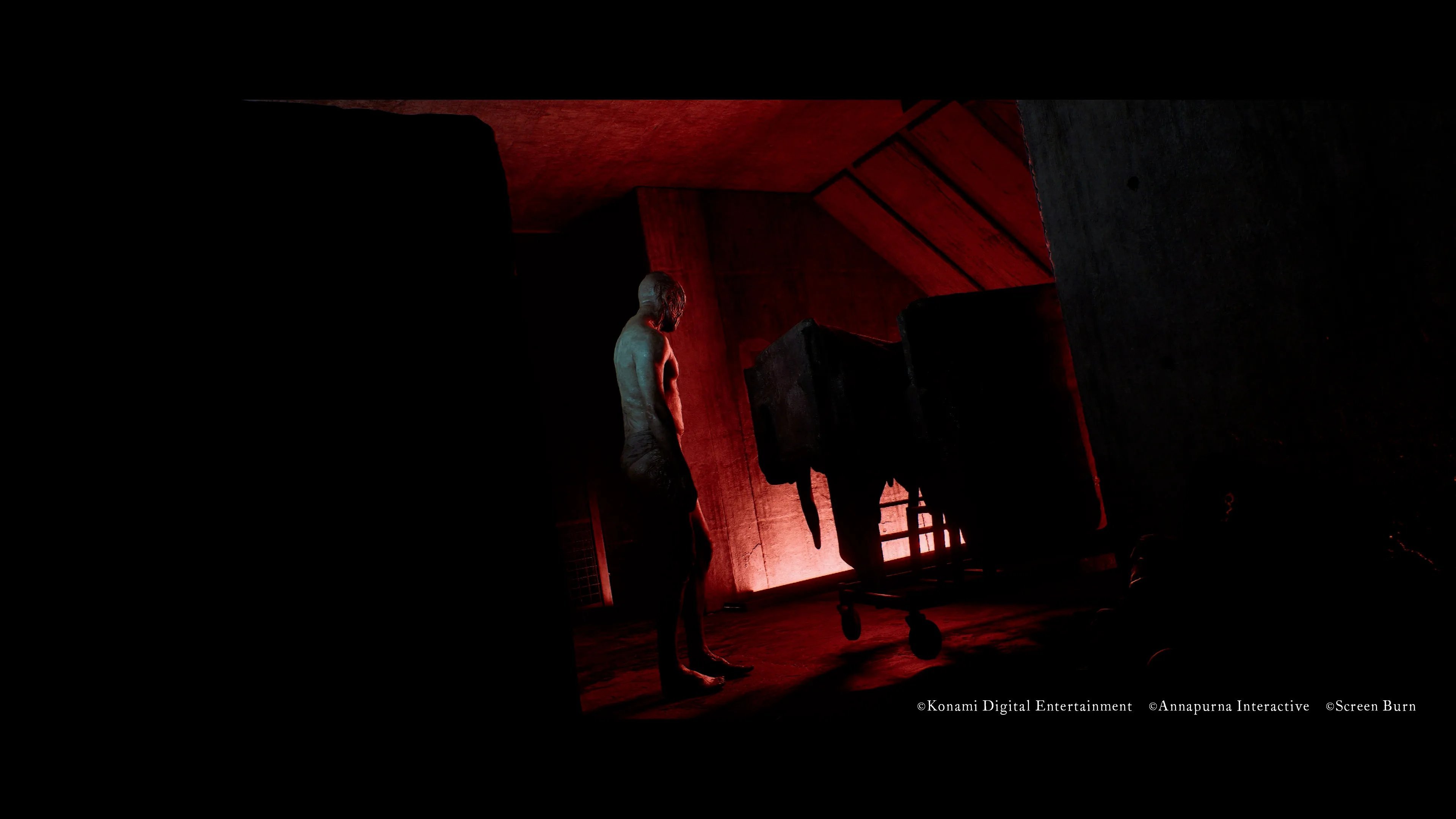 Silent Hill Townfall